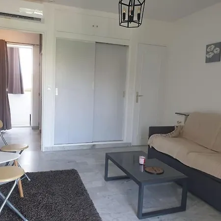 Palm Escape Apartment Cannes