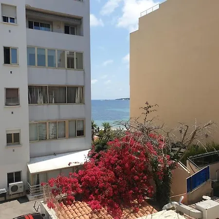 Apartment Palm Escape
