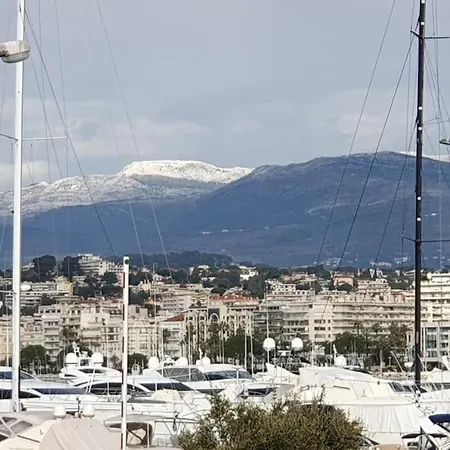 Palm Escape Apartment Cannes