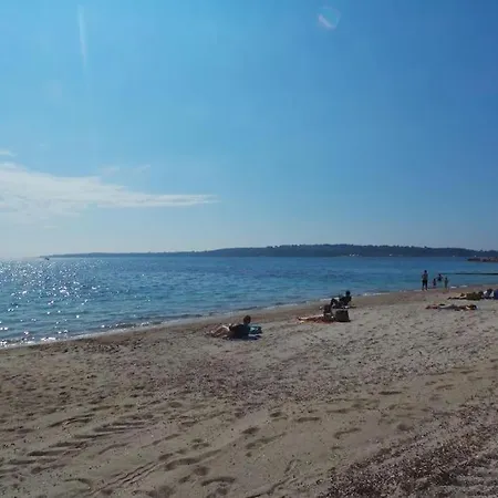 Palm Escape Cannes
